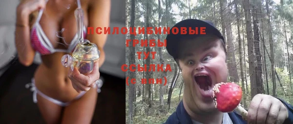 ECSTASY Нязепетровск